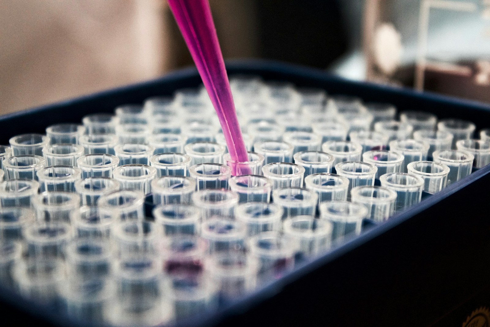 Clinical research lab detail with prepared sample wells